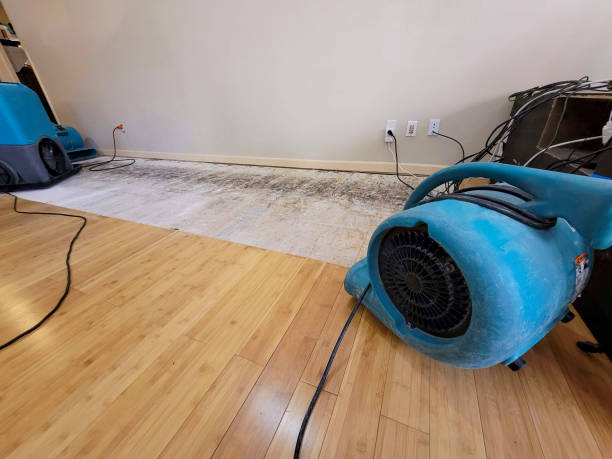 Professional Sewage Cleanup technician working in Palmyra, NJ